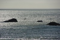 20150618_203150-001.jpg
